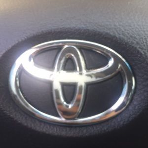 Meet your Posher, Cody